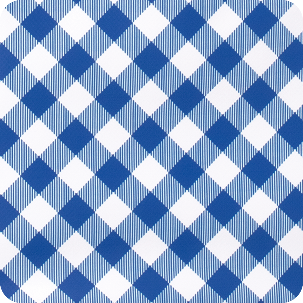 Gameday Gingham Royal + Red Lunchi Lunch Bag