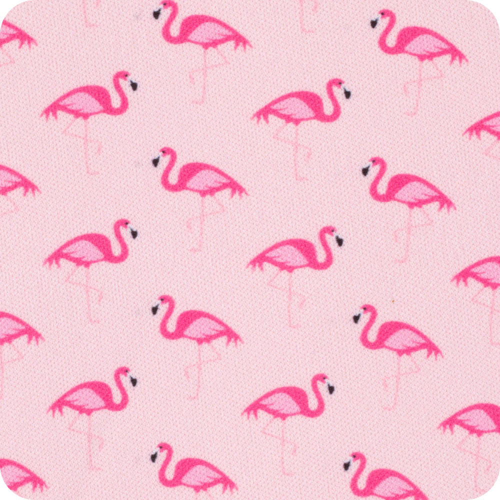Flamingos Can Coolie