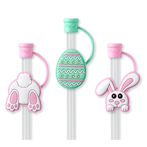 All American Reusable Straw Set