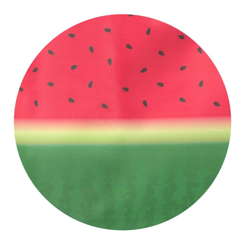 Melon Slice Lunchi Lunch Bag