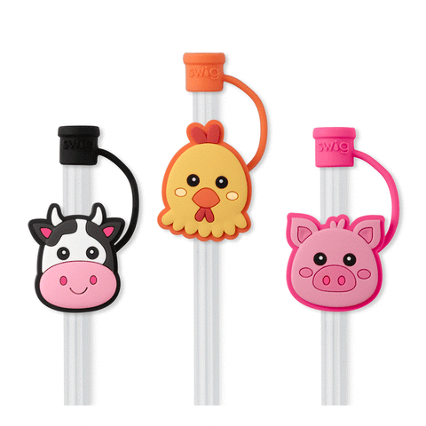 We've Got Spirit Orange Straw Topper Set