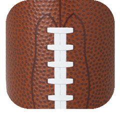 Football Can + Bottle Cooler 12oz - Swig Life