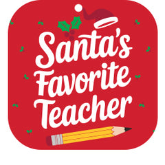 Santa's Favorite Teacher Plastic Tumbler 24oz - Swig Life