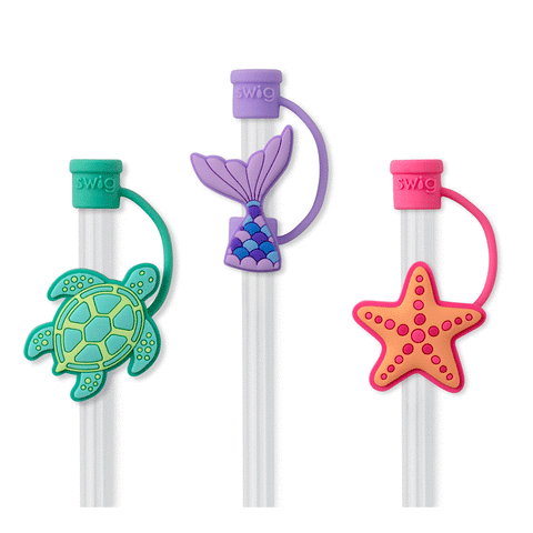 Full Bloom + Coral Reusable Straw Set